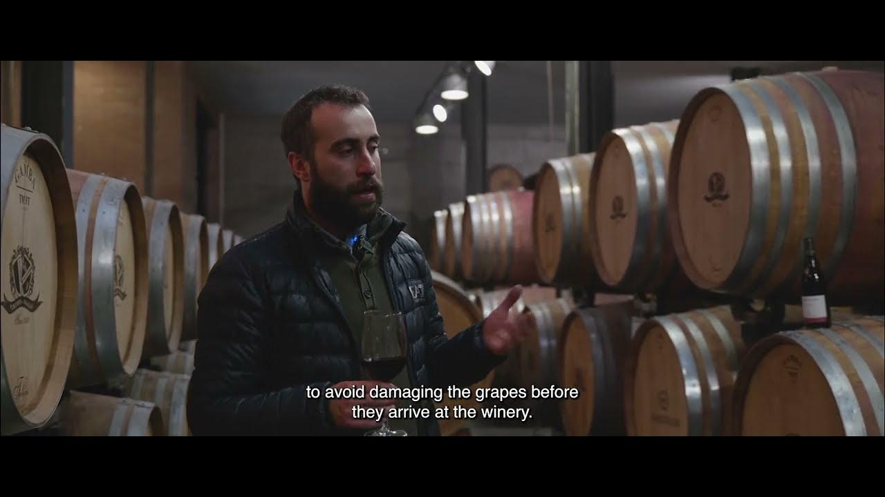 The Old Vines of Vinchio Vaglio