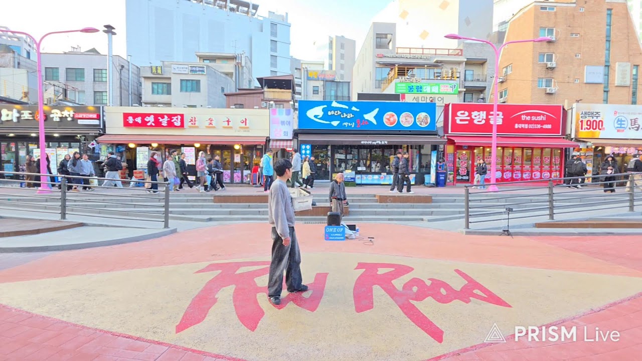 Live 20260308 OneOf#원오브 HongDae#홍대 Busking#버스킹 SnowHorse#눈말