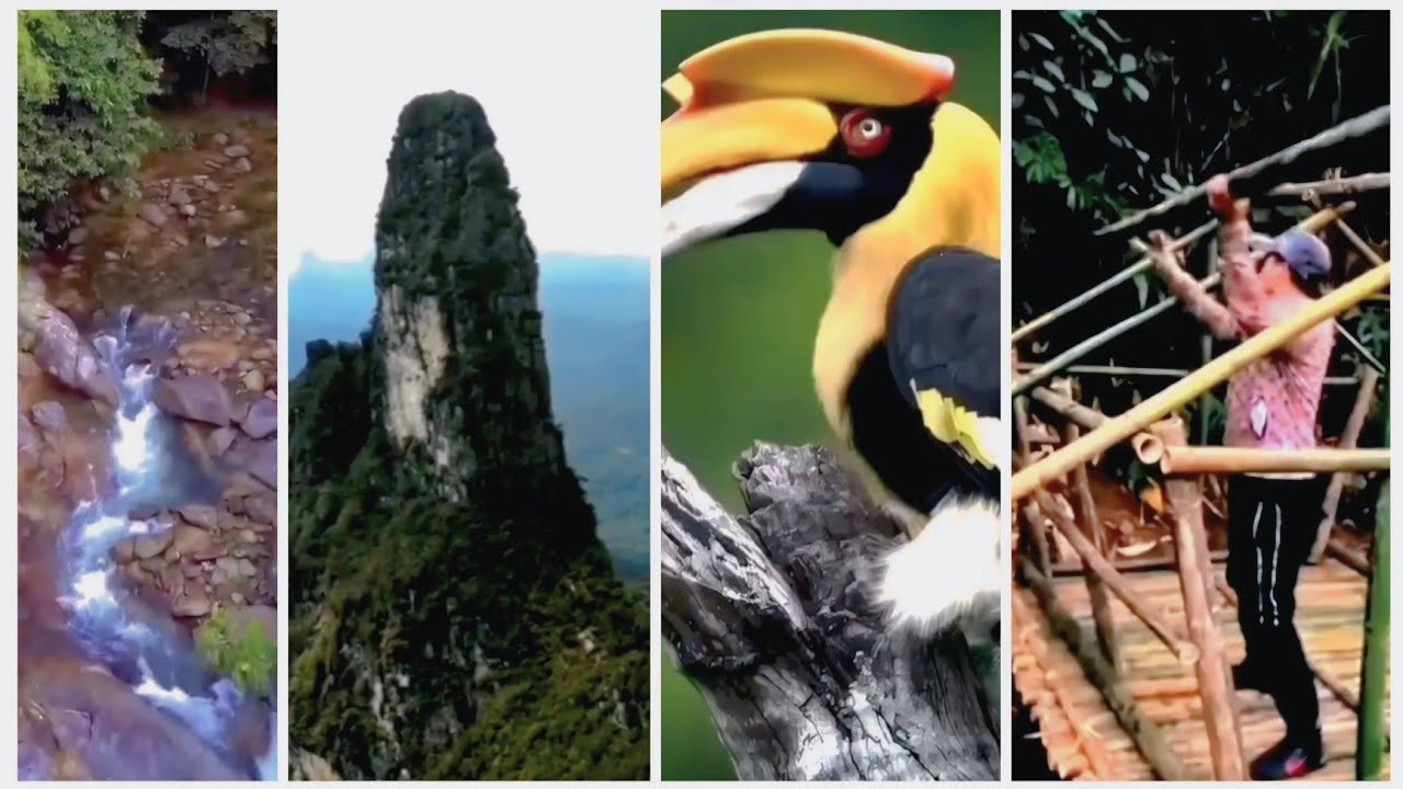 Buluh Naam Milap (LOVE NEVER WITHER)