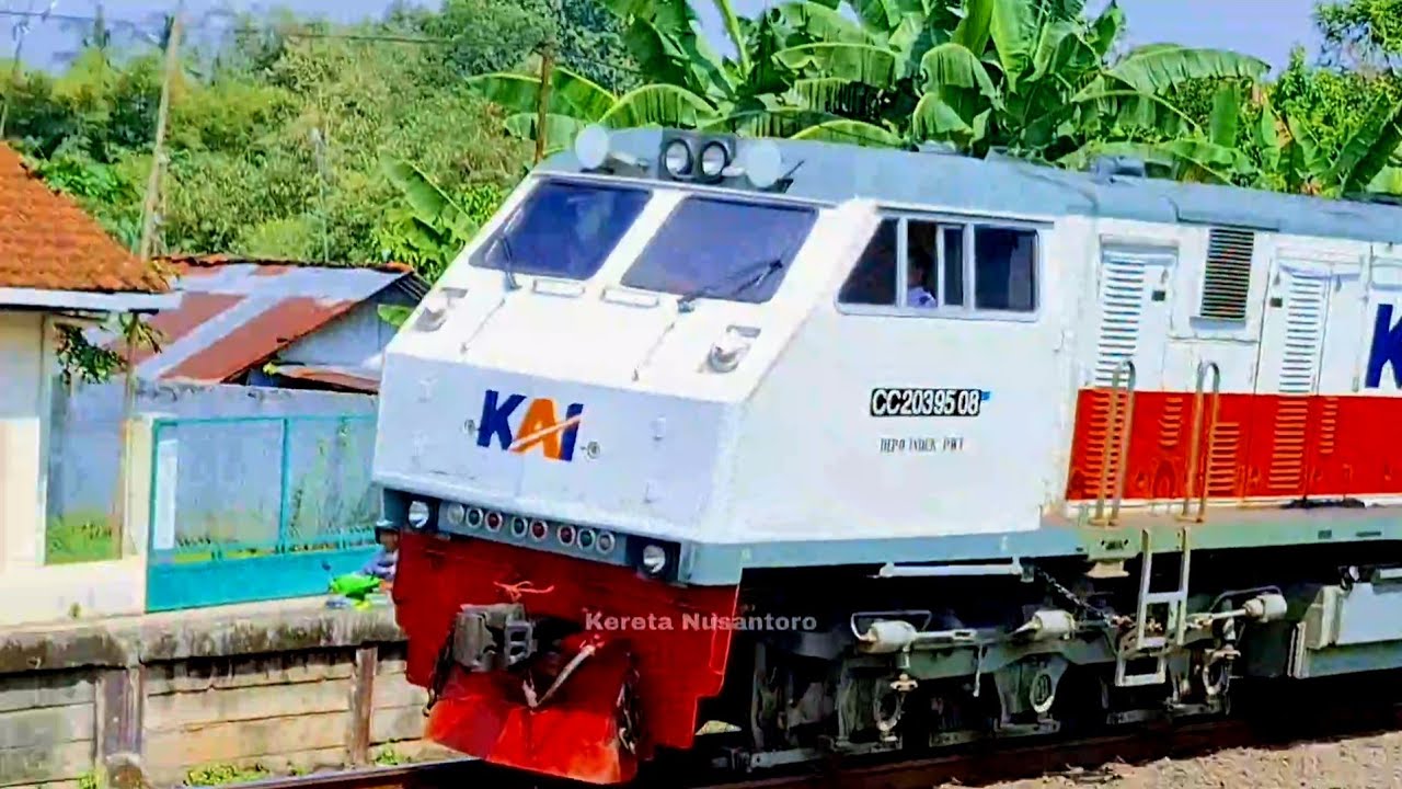 KERETA API PANJANG‼️ MENEMUKAN 30 KERETA API NGEBUT  DI PERLINTASAN MENIKUNG