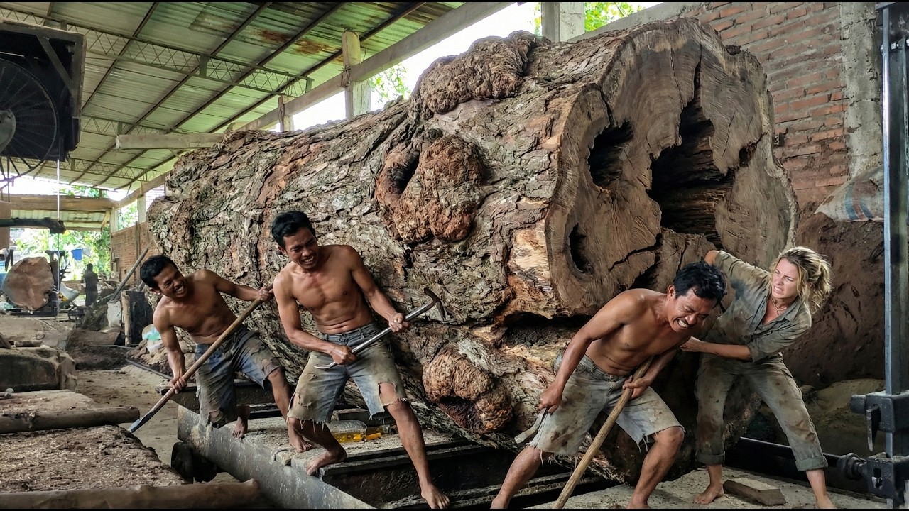 Industrial Wood Processing at Full Power – Heavy Duty Sawmill