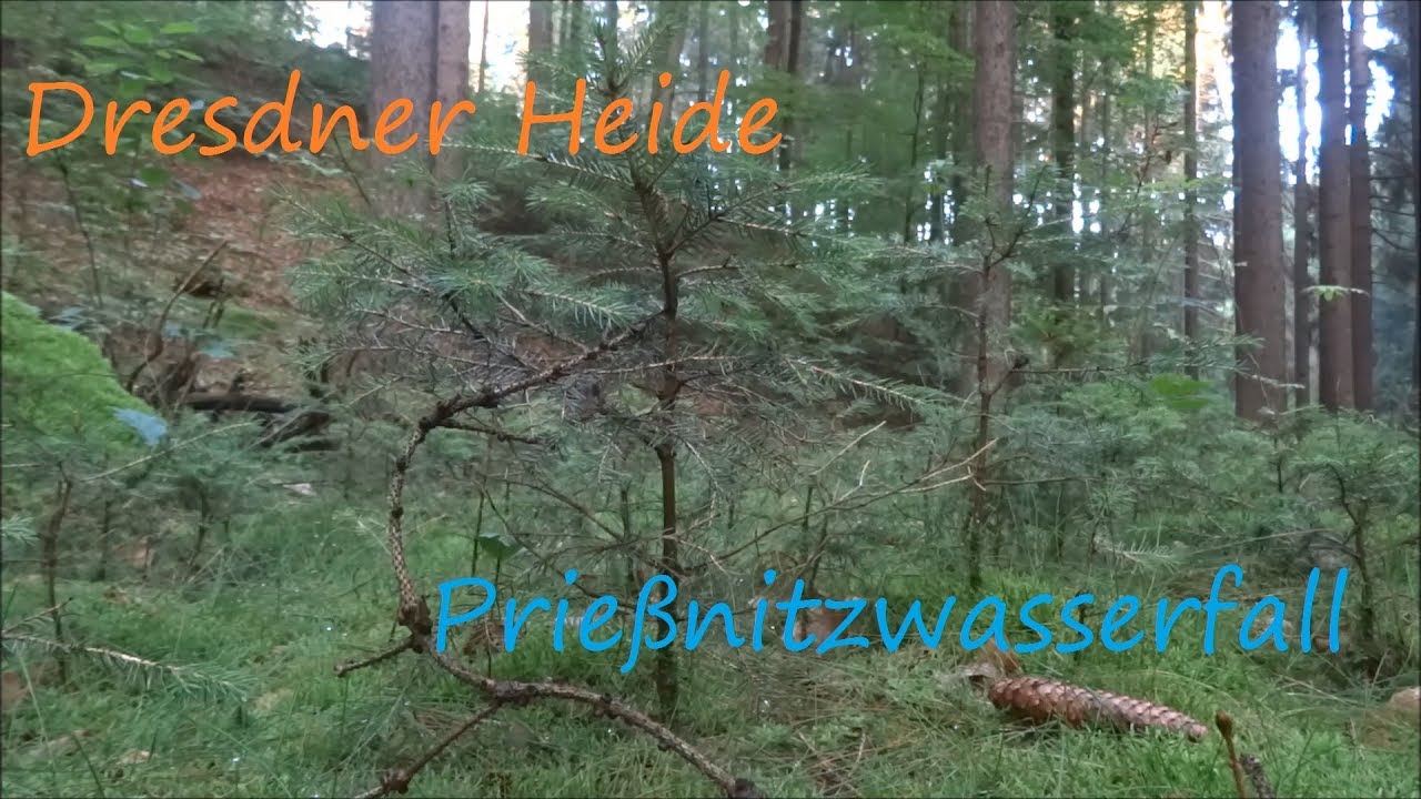 TOUR: Dresdner Heide | Der Prießnitzwasserfall | Outdoor Wandern Deutschland