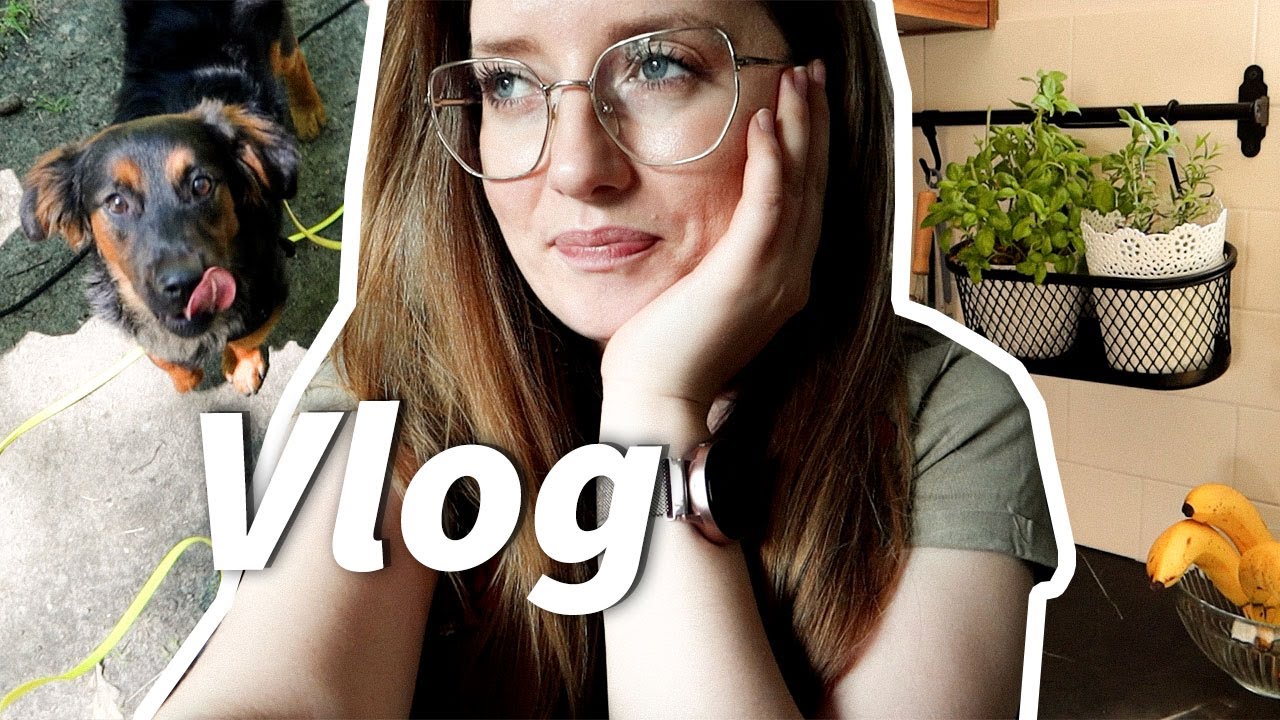 Czemu mnie nie było? Czy wr&oacute;cę na YT? Aniko Vlog