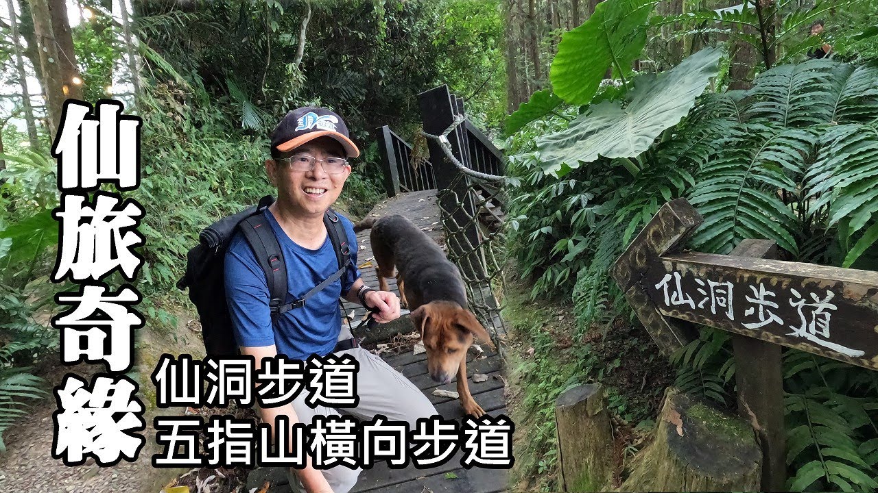 仙旅奇緣：仙洞步道、五指山橫向步道 （新竹縣北埔鄉）