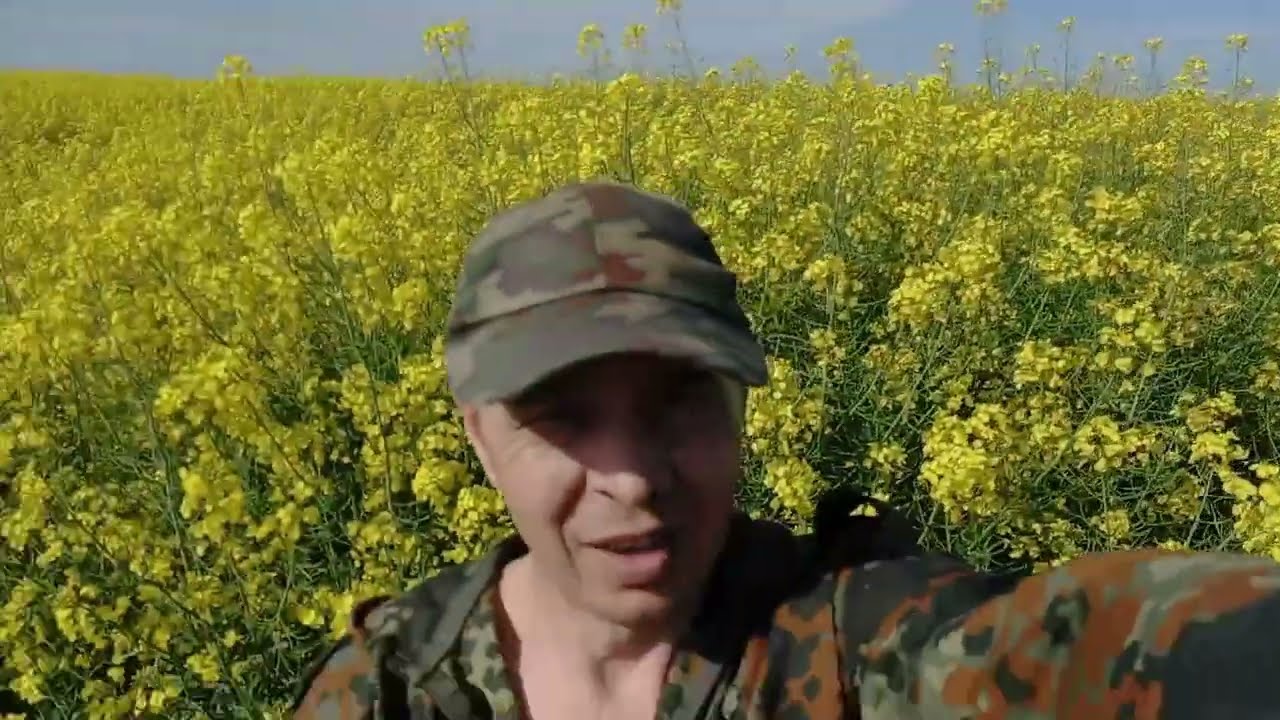 Переезд с опыления на рапс
