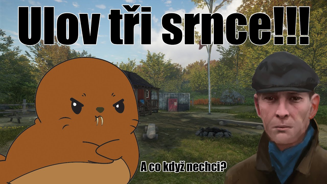 A co když nechci?🤨| COTW: Mise #2