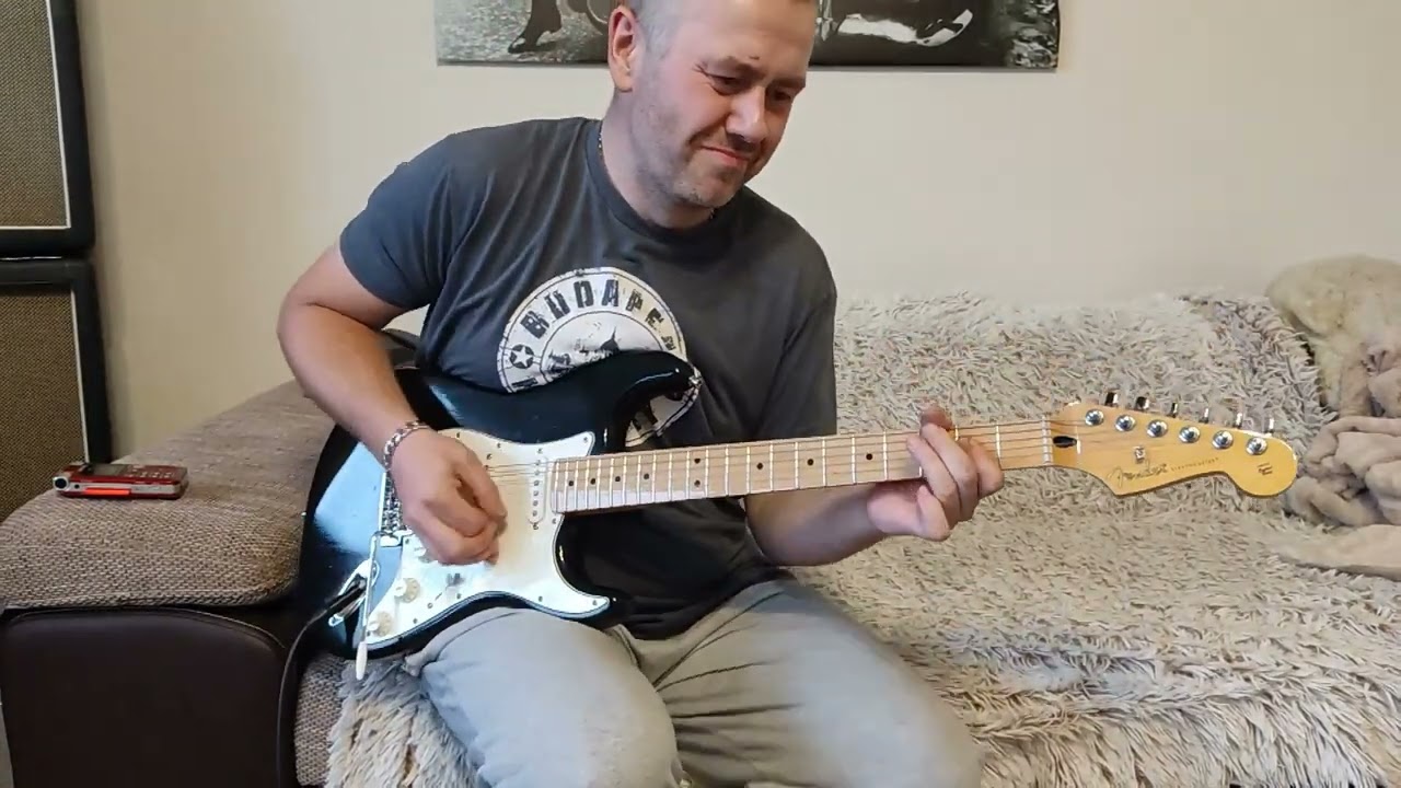 Fender Player Stratocaster 2021 + Fender Custom Shop '69 pickups