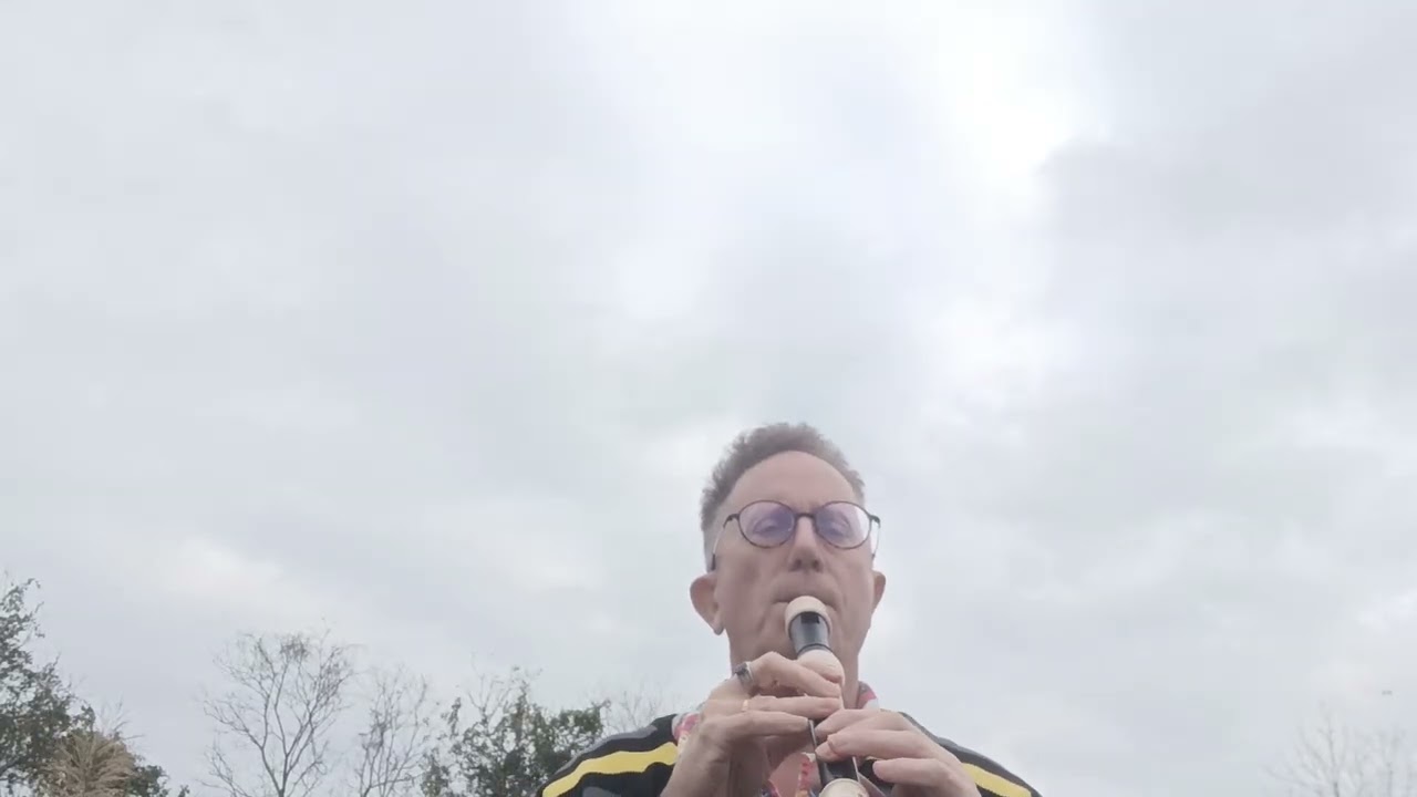 Handy Man - James Taylor COVER by Shervin Marsh