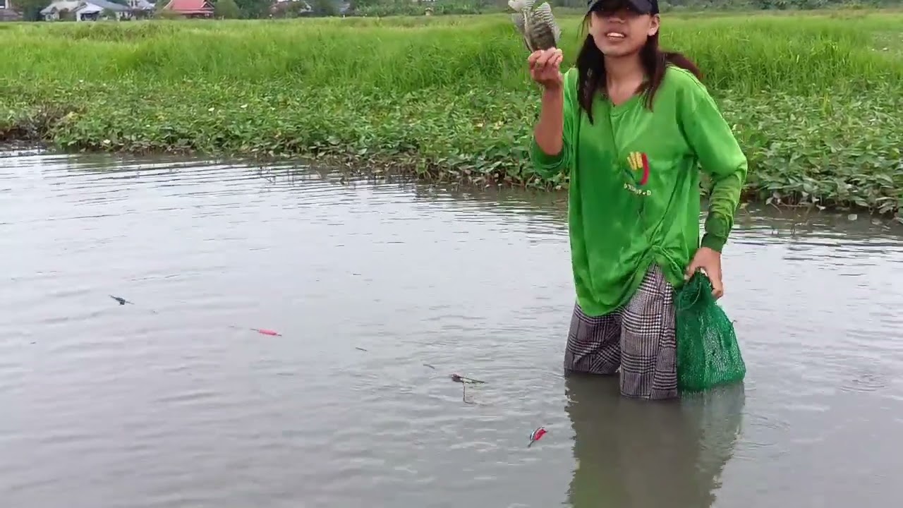 Part,7 Ng pamamante Dito lang pala nag lulungga Ang malaking tilapia CATCH END COOCK🐟🐟