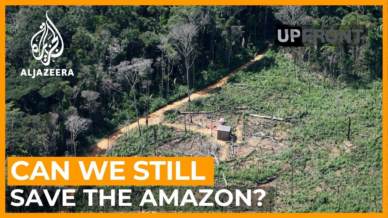 Are we running out of time to save the Amazon rainforest? | UpFront