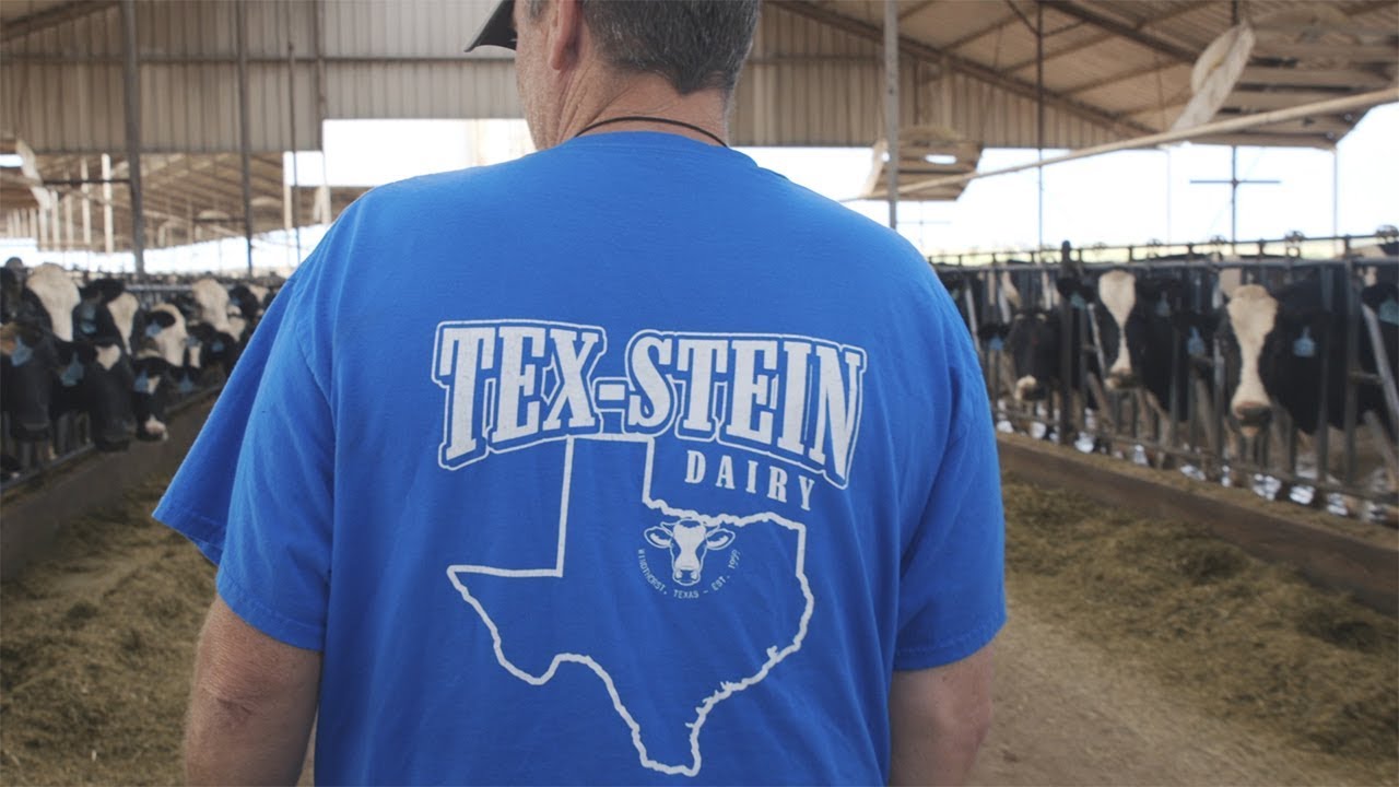 Rural Places: Tex-Stein Dairy