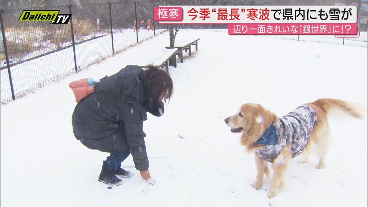 【最長寒波】厳寒の県内各地で朝は氷点下に山間部は雪…冷え込みに戸惑う一方 この時季ならではの楽しみも(静岡)