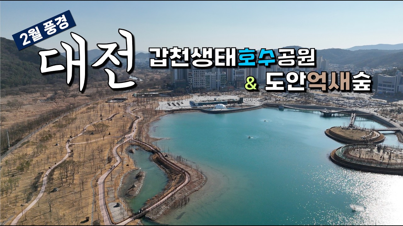 대전 갑천생태호수공원 & 도안억새숲 | DJI Flip 플립 드론