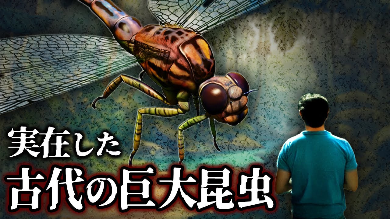 【ゆっくり解説】古代の虫が怖すぎる！超巨大な昆虫６選