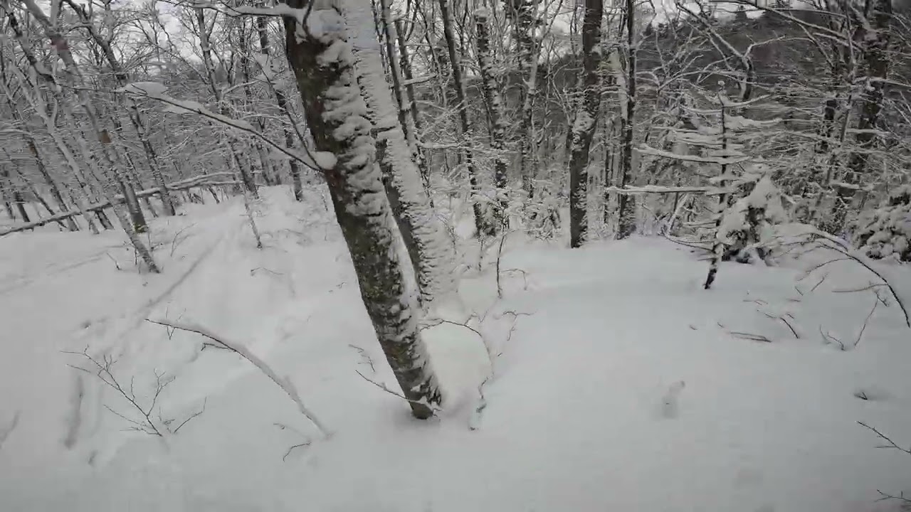 MLK Laps - Mustache Woods T2B - Smugglers Notch (2026)