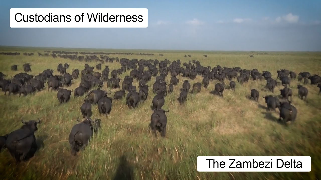 Custodians of Wilderness: Zambezi Delta.