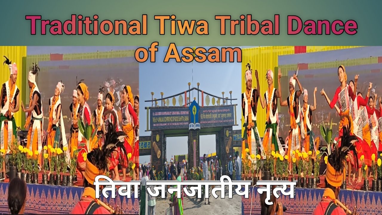 Traditional Tiwa Tribal Dance | 65th Annual Conference of Bodo Sahitya Sabha | तिवा जनजातीय नृत्य l