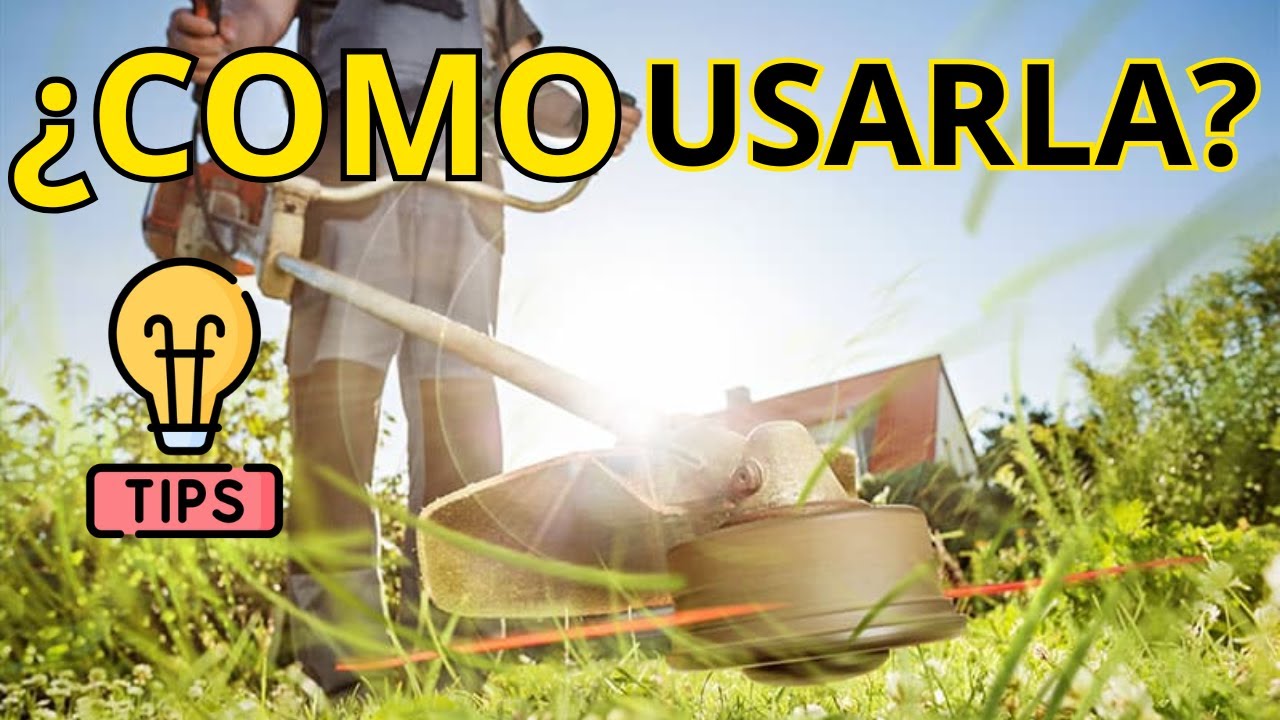 👉 C&oacute;mo Desbrozar Correctamente | Gu&iacute;a Completa para Limpiar Terreno como un Profesional 💪🌿