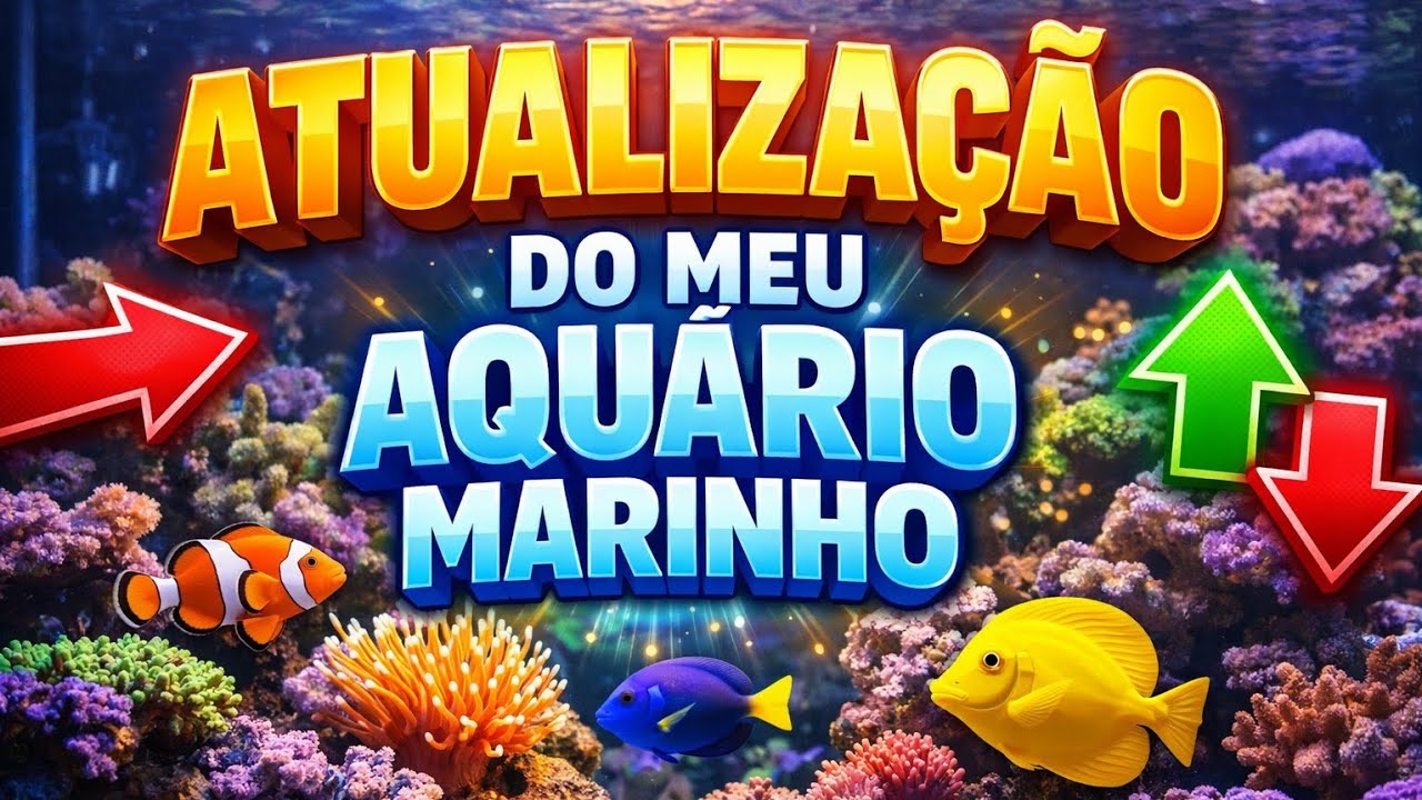Como está meu aquário marinho hoje.