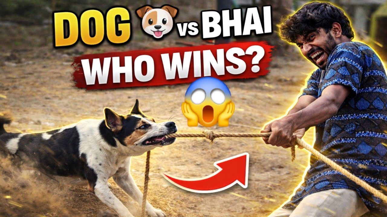 Dogas vs Bhai কে জিতবে 😱😱 ll vlog &hearts;️ 