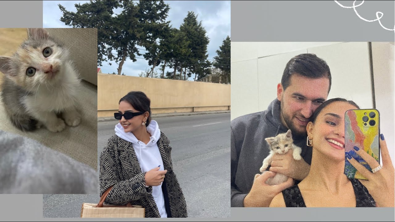 Bazar günü vloqu | PİŞİK SAHİBLƏNDİK! 🐱