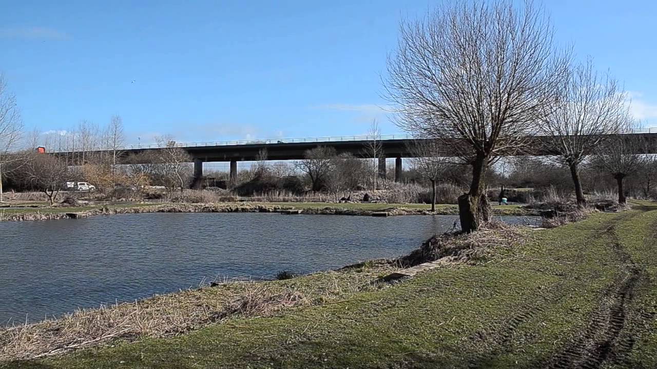 SUMMERHAYES FISHERY, BRIDGWATER, SOMERSET