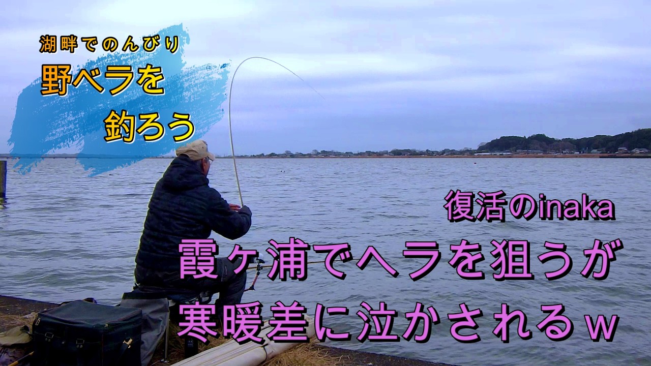 【ヘラ野釣り】霞ヶ浦でヘラを狙うが、寒暖差で泣かされるｗ、復活のinaka