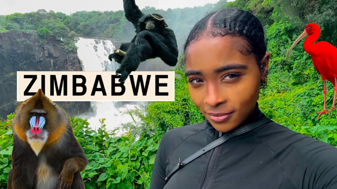 Zimbabwe Stole My Heart - You NEED to See This! *country #132* 🇿🇼