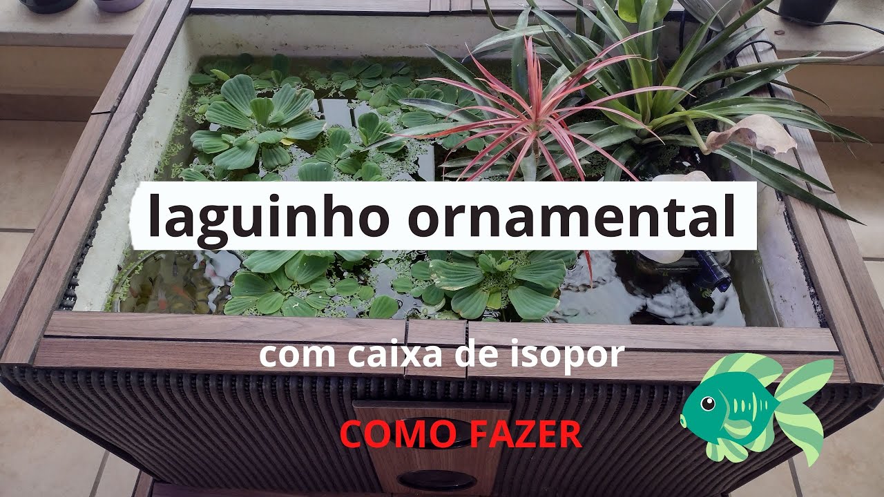 Como fazer um laguinho ornamental, com caixa de isopor!#laguinho #aquarium #aquarismobrasil