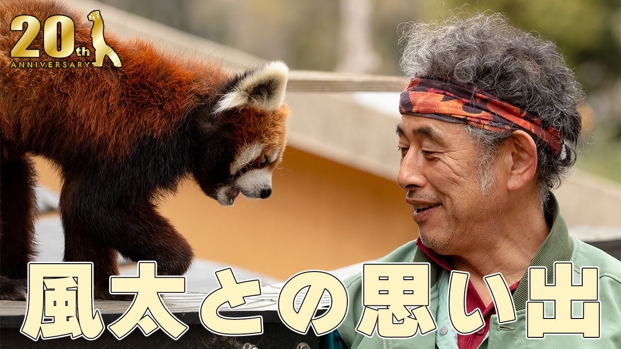 【アーカイブ】風太の誕生日特別記念講演【千葉市動物公園・公式】