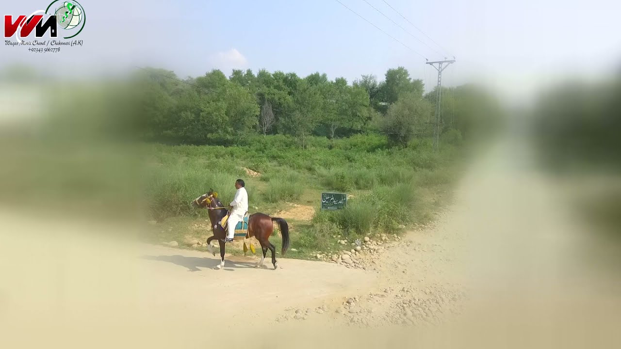 Horse riding Raja Bashrat