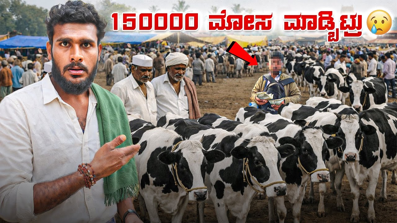 ಉಷಾರು🤫 Cow Market in Erode | Tamilnadu | Avatar Shiva Vlogs