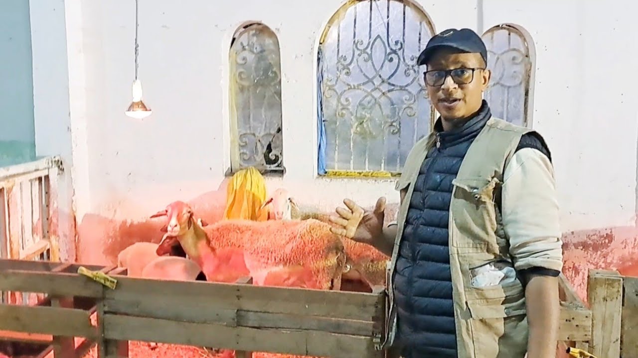 سر من أسرار نجاح الكسيبة وتطورها