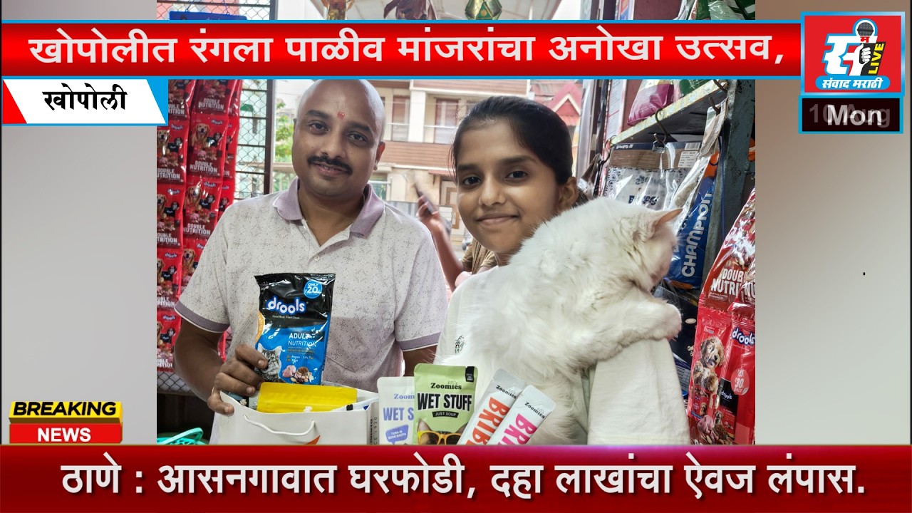 A unique festival of domestic cats took place in Khopoli, with spontaneous participation from cat lovers.