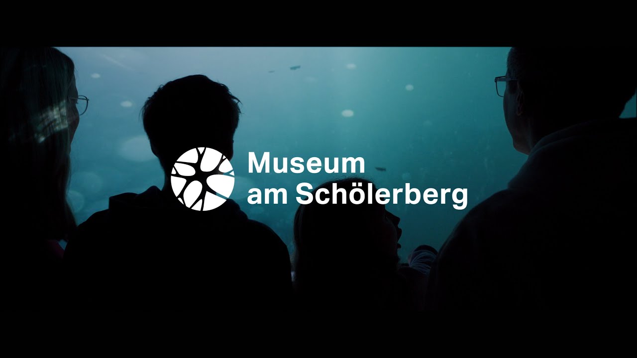 Museum am Schölerberg – Entdecke die Welt aus neuen Perspektiven 🔍