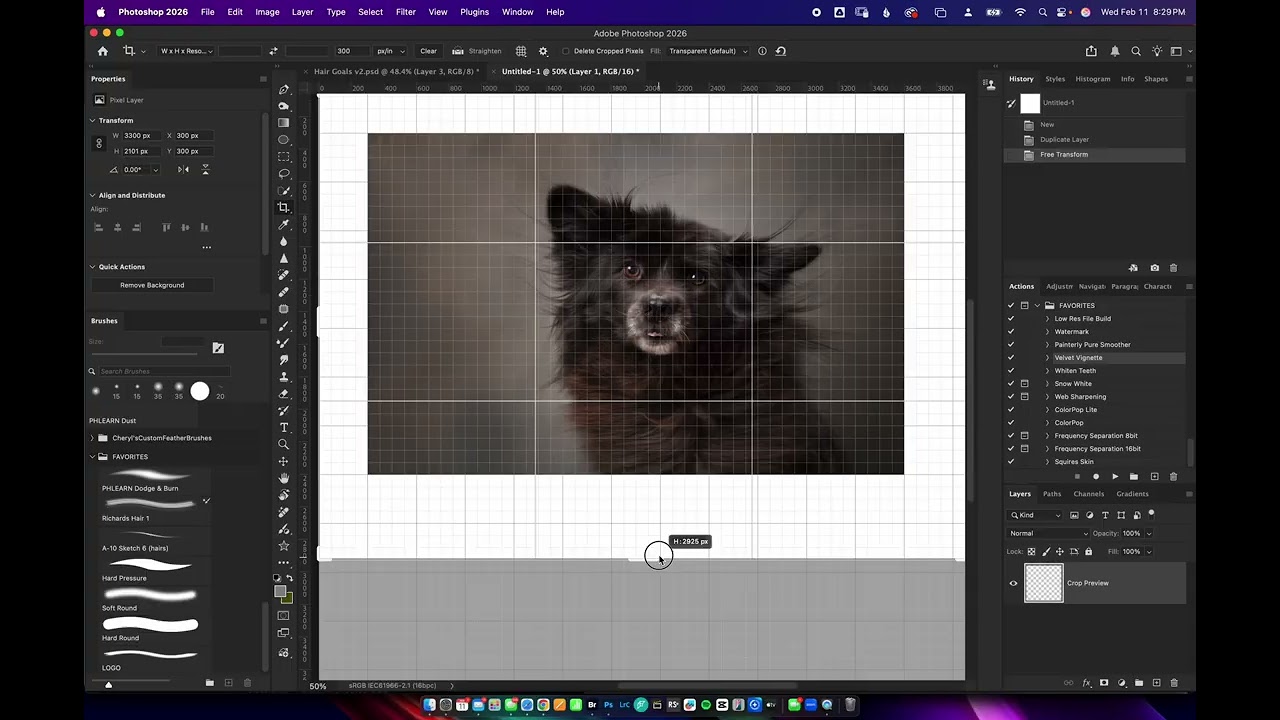 Creating a Presentation in Photoshop