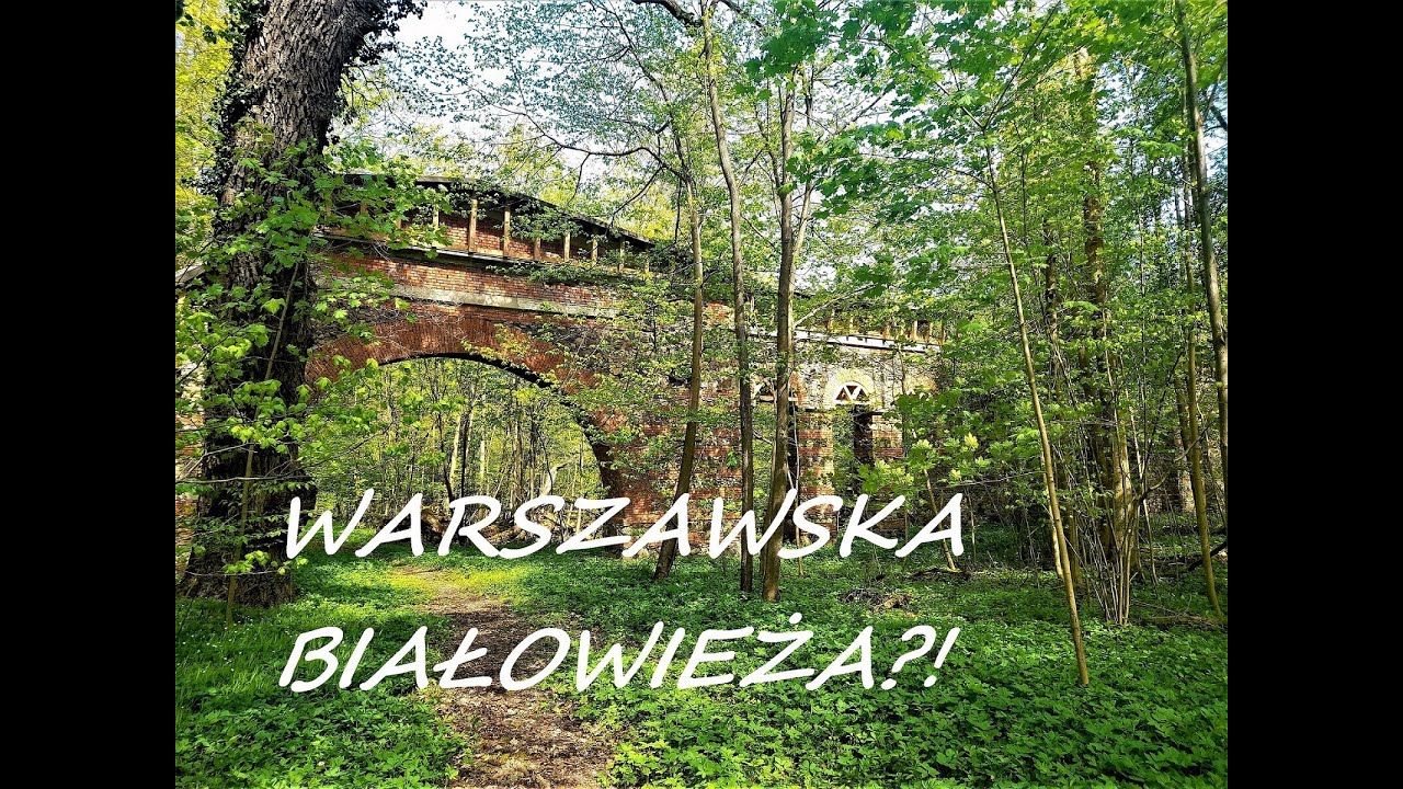 Warszawska Puszcza Białowieska - Pałac i Rezerwat Natolin