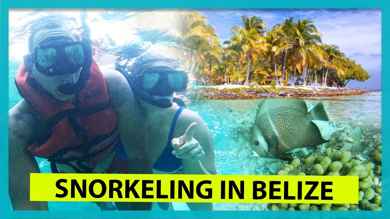Snorkeling In Belize | Jaguar Reef | Hopkins