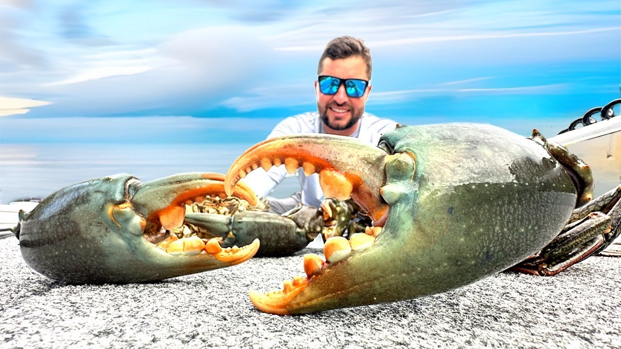MUD CRAB Catch and Cook