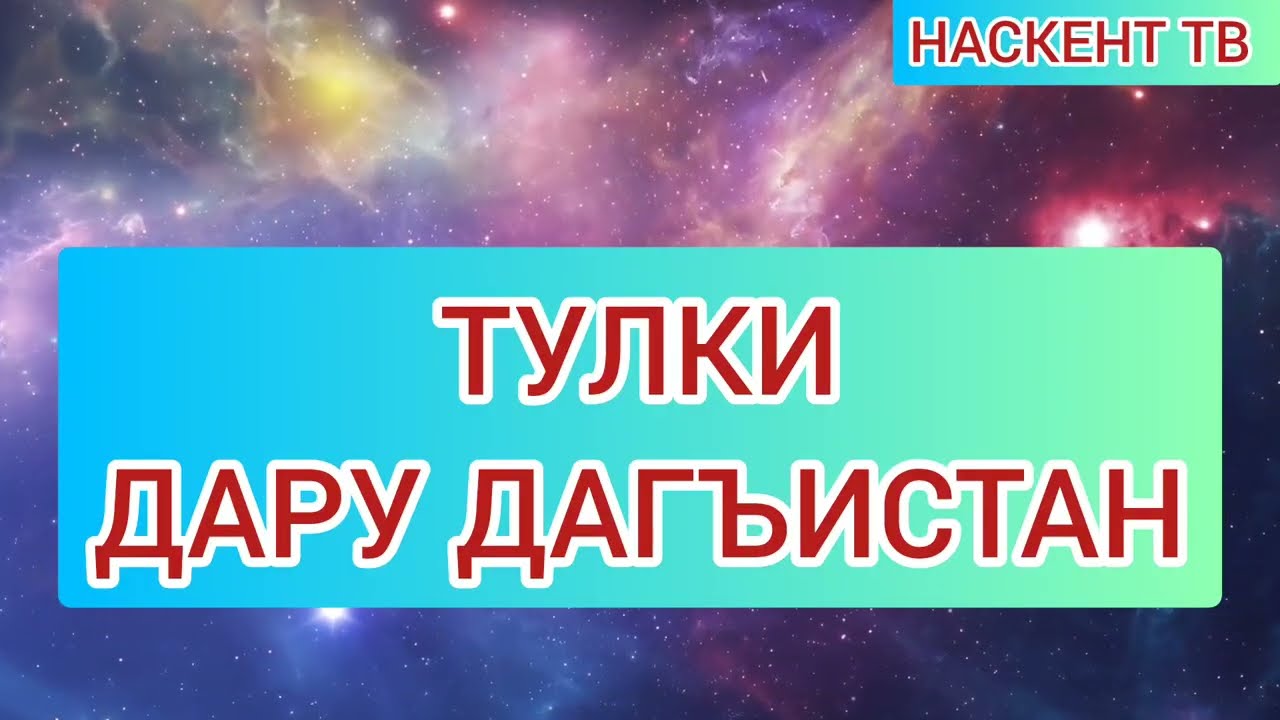ТУЛКИ-ДАРУ ДАГЪИСТАН