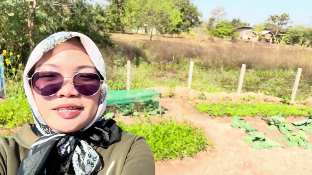 Ban thueam 🛕🌾👩🏻‍🌾 | Udonthani Province | 