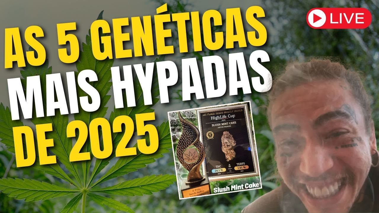 GEN&Eacute;TICAS DE 2025: Conhe&ccedil;a As Strains Mais Famosas Do Ano!