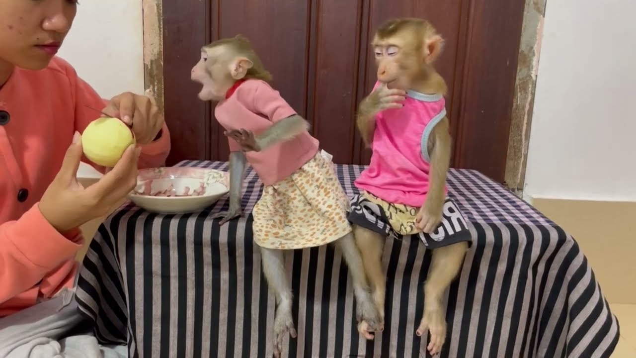 Nazzti koy open big mouth with anxi0us feeling for her late lunch, while Jasmine too much sleepy now