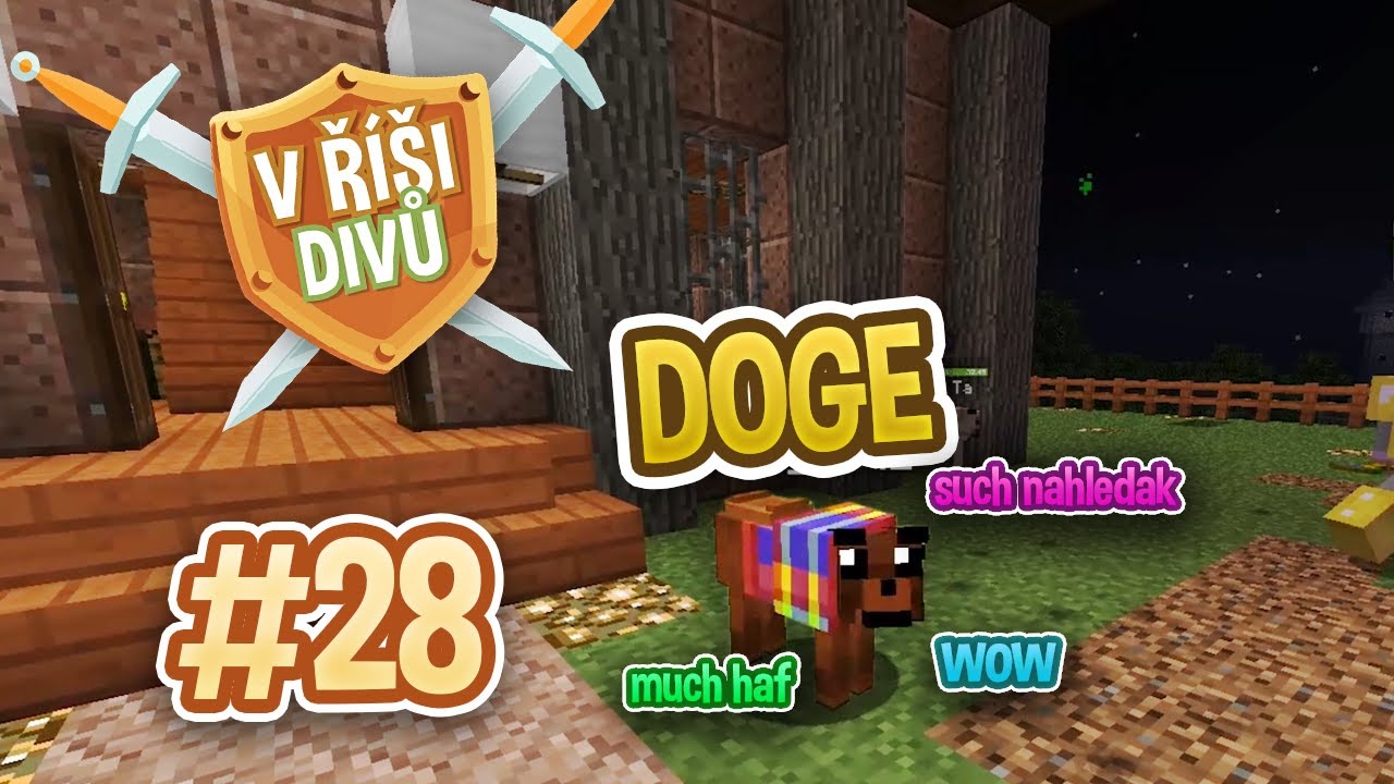 Můj DOGE 😍 #28 [GEJMR & PEDRO]