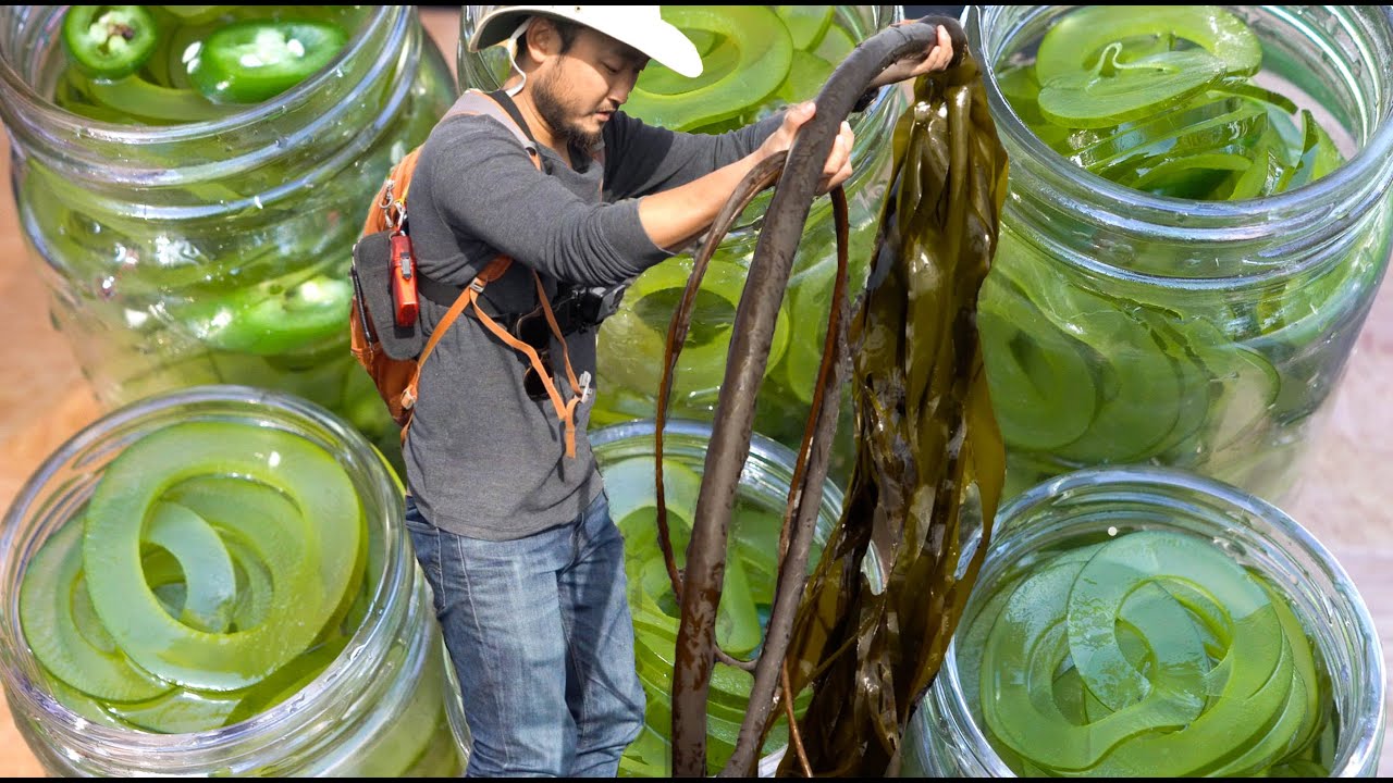 THE NEXT BIG SUSTAINABLE FOOD TREND | Must Try Kelp Pickles