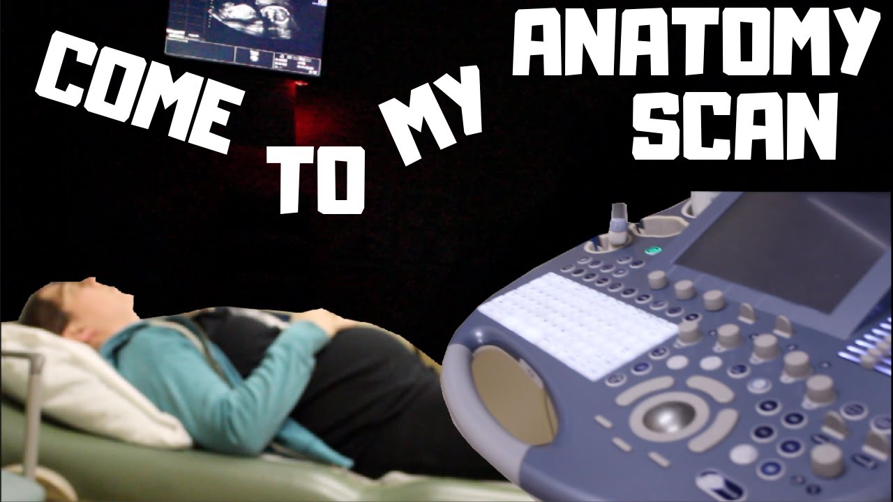 20 WEEK ULTRASOUND - ANATOMY SCAN - WHAT TO EXPECT