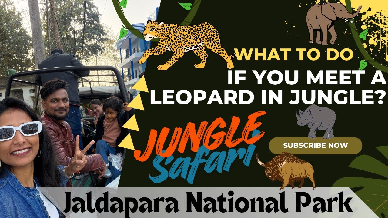 WE SPOTTED A LEOPARD! 🐆 Jaldapara Jungle Safari | Dooars 2026 | Jaldapara National Park Full Guide