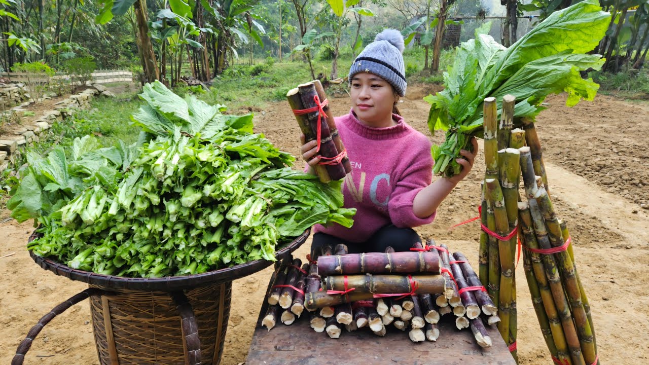 Harvest Sugarcane & Vegetables Goes to market sell - Cook hotpot in farm - Lý thị Ca