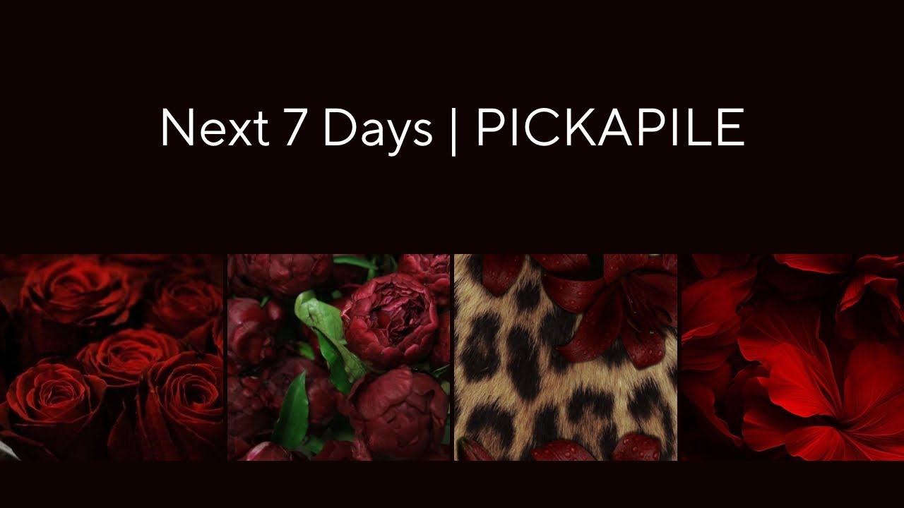 Следующие 7 дней | PICKAPILE
