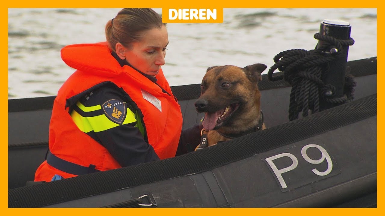 Op pad met 'dier van het jaar' Bumper